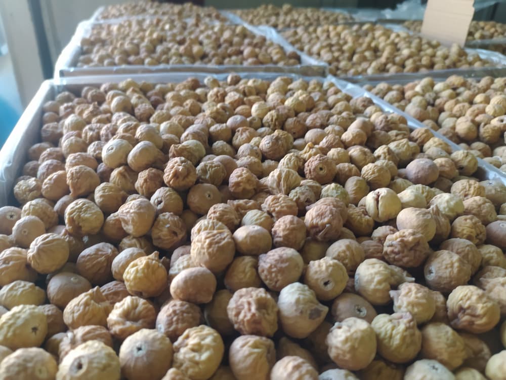 تصویر 1 از خرید انجیر خشک استهبان مستقیم از باغدار